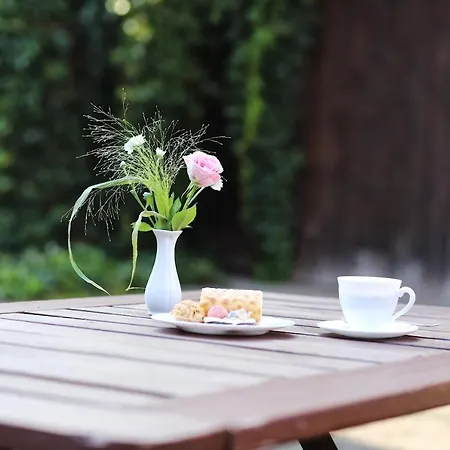 Pensión Hoffmann 3*